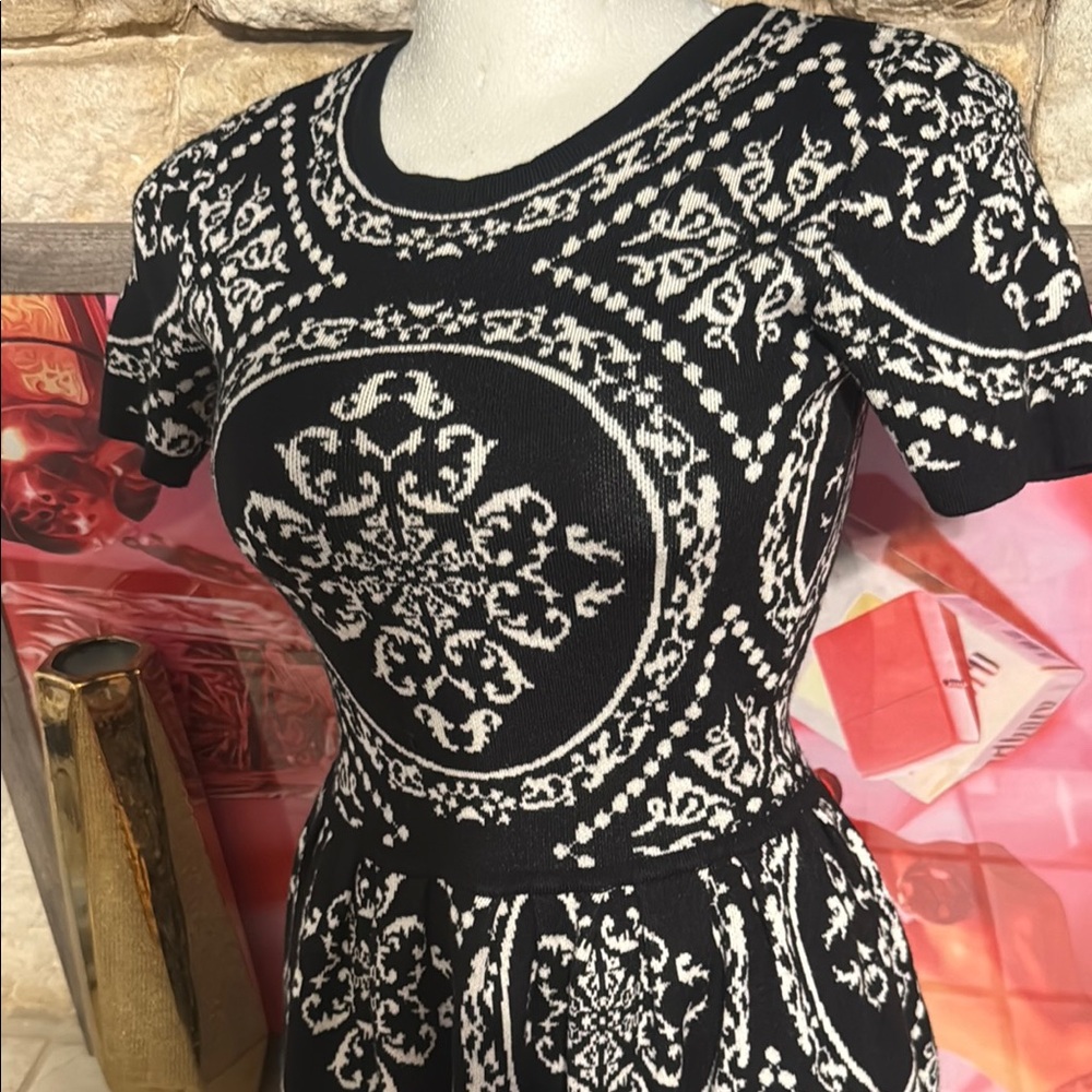 Romeo & Juliet Couture Black and White Midi Dress Fit and Flare